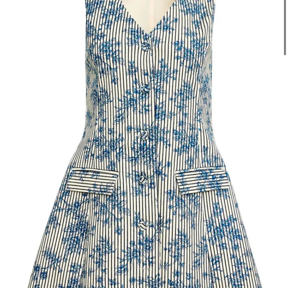 Tuckernuck Blue Floral Stripe V-Neck Sleeveless Mini Dress
